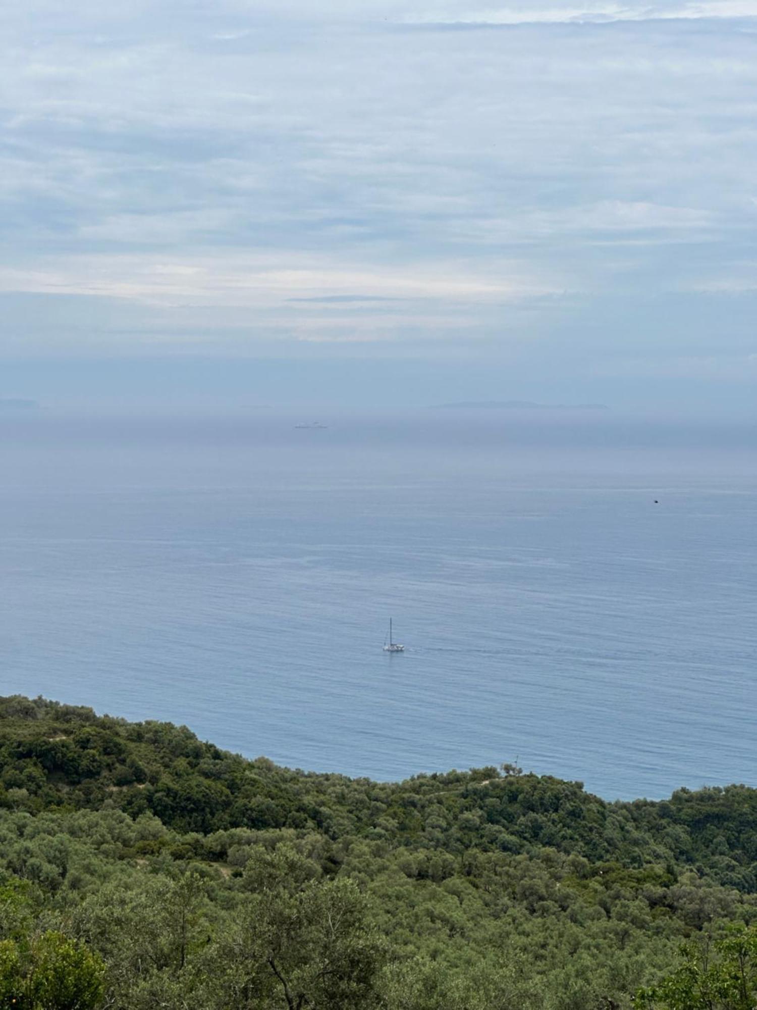 Hyso Vela
